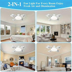 F4- Multifunctional Fan Light