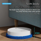 Intelligence Cleaning Robot