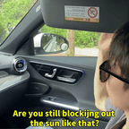 Car Sunshade and Electrostatic Barrier